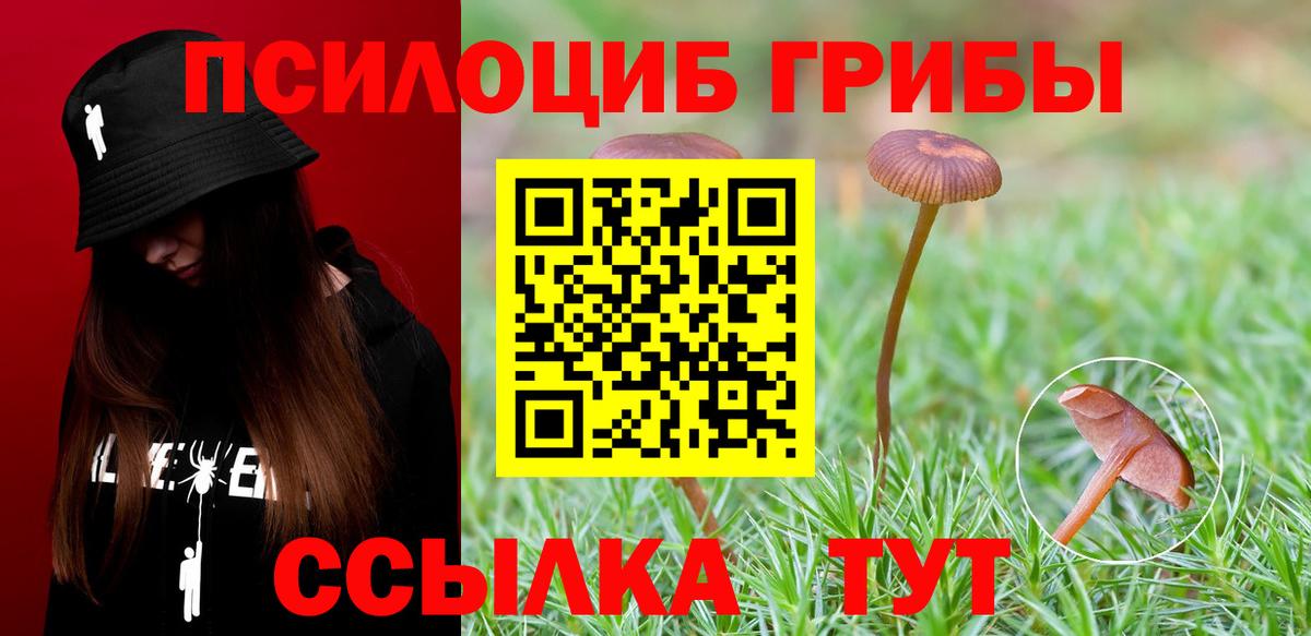 Псилоцибиновые грибы прущие грибы Лысьва